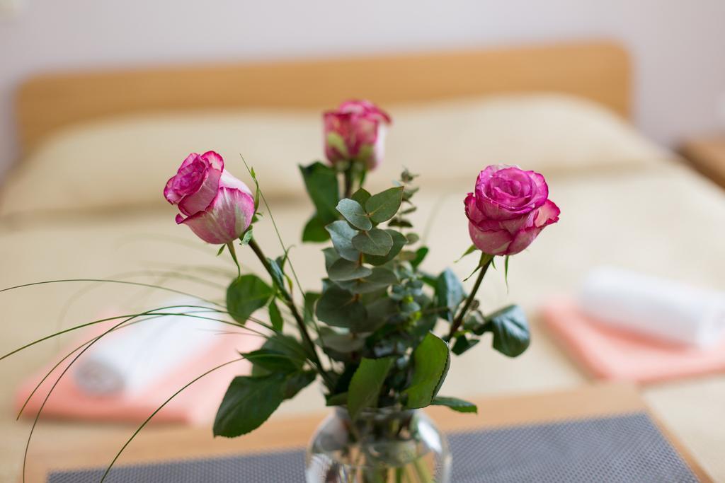 קרק Nadija Studio Apartmani מראה חיצוני תמונה